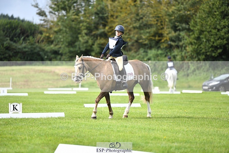 230826-102354-15461 - Sections C & D 10 to End