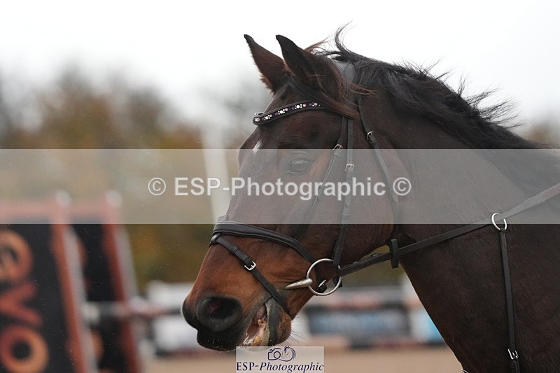 251107-130649-01073 - Cls 6 Foxhunter and 1.20m Open