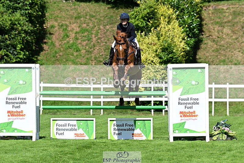 250703A-102752-02684 - Cls 1 Snr Foxhunter