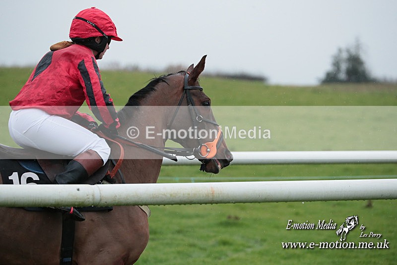 PtP 031223 657 - Wheatland Hunt PtP Chaddesley Races 03/12/23