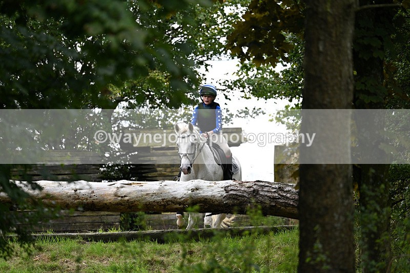 WJ7_8262 - Time 14:11 to 14:30