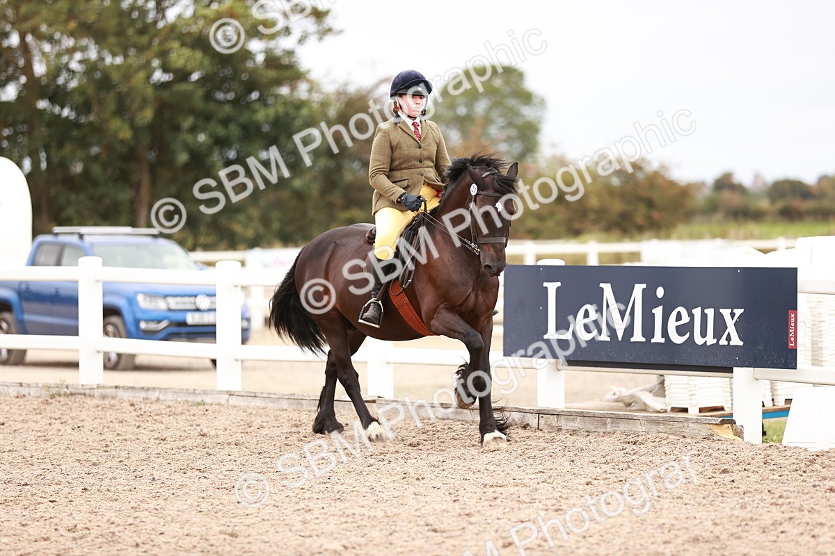 SBM_18963 - Class 422 - Ridden M&M