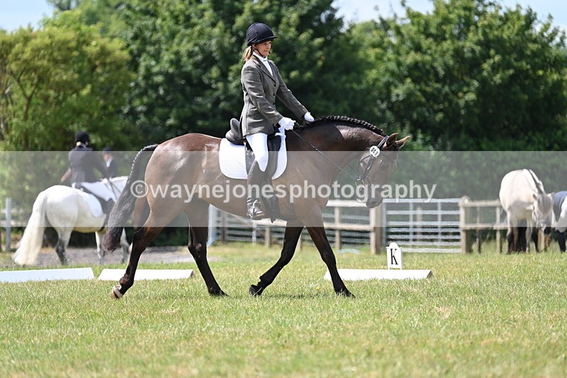 WJ7_4812 - Time 11:22 to 11:51