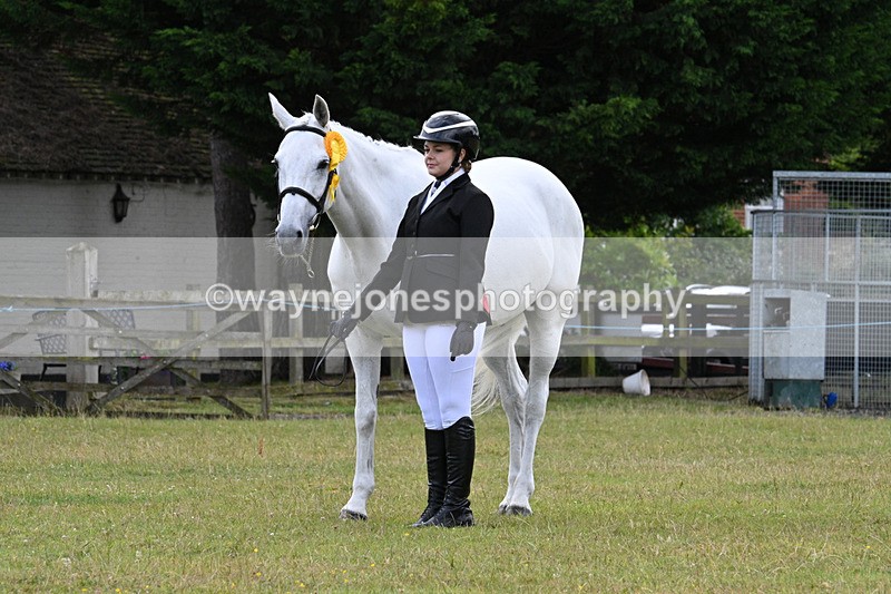 WJ7_7189 - Class 5a Most Handsome Gelding in Hand