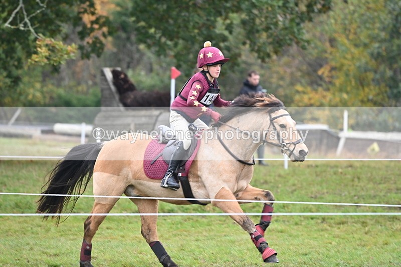 WJ6_2426 - 80cm Cam 1 Time 11:23 to 12:04