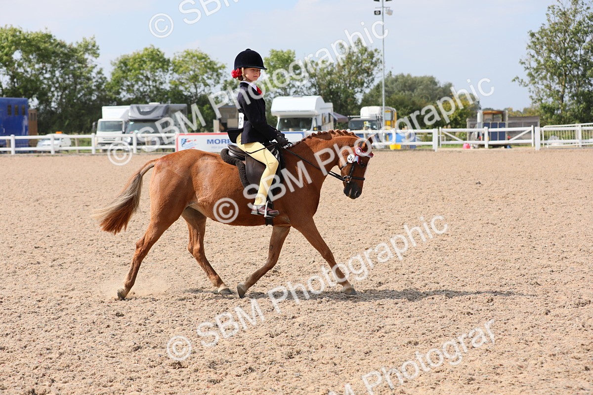 SBM_14702 - Class 310 First Ridden Pony