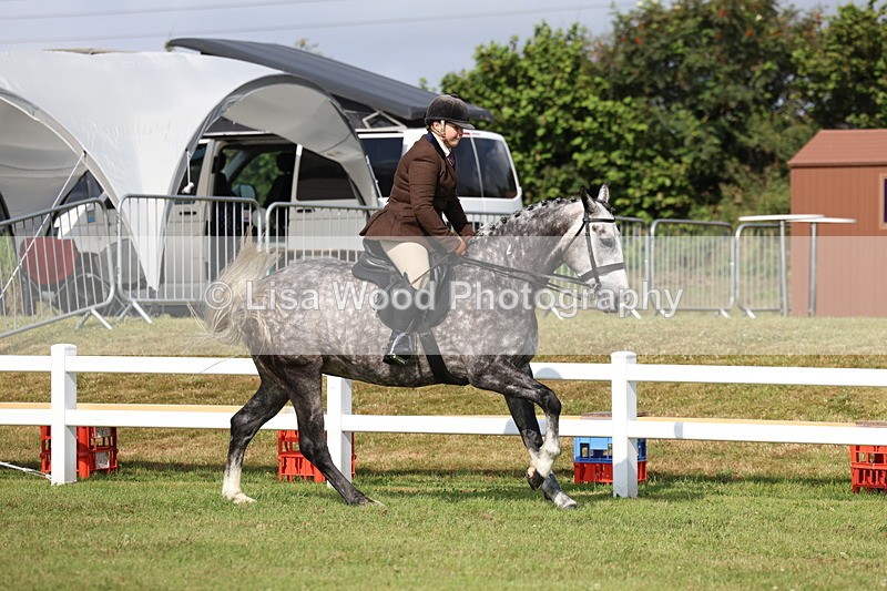 3E7A8852 - Class 3: Rising Star S/L Hunter