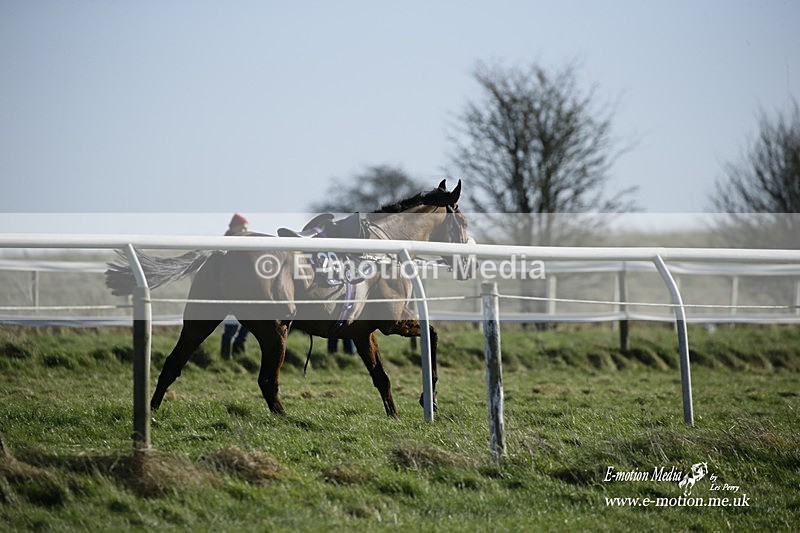 PtP 270222 129 - South & West Wilts Point-to-Point Larkhill 27/02/22