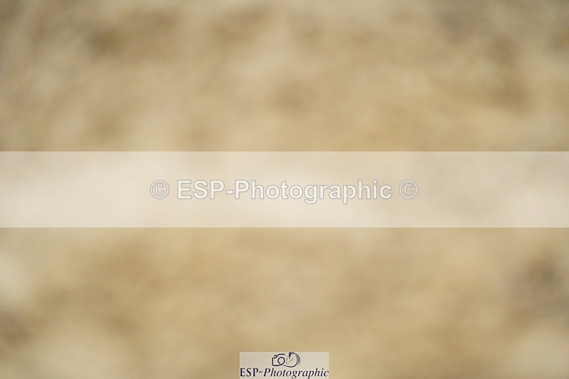 240309-115234-00495 - Cls 01 AE 70cm