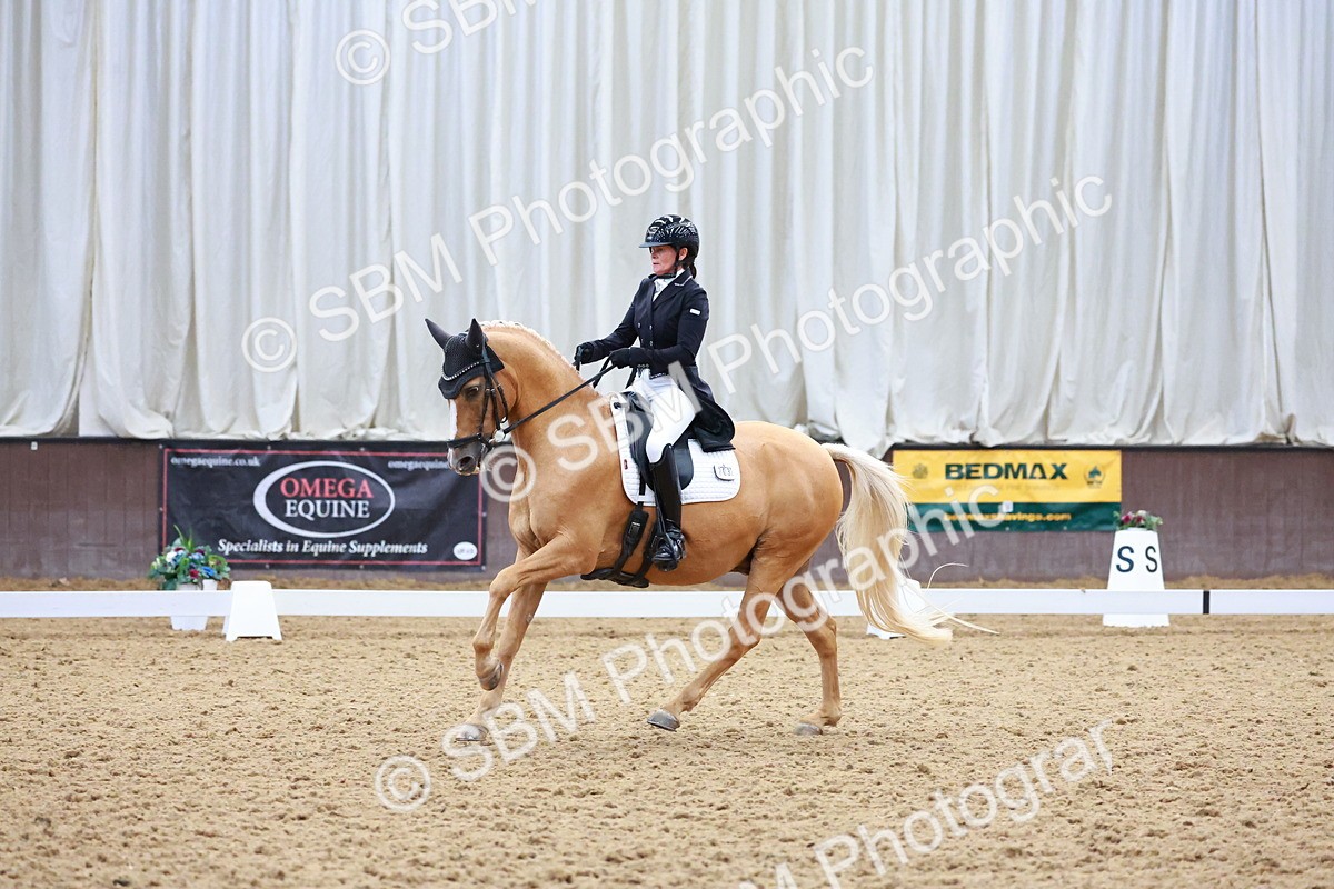 SBM_021314 - Class 25 - FEI PSG Bronze