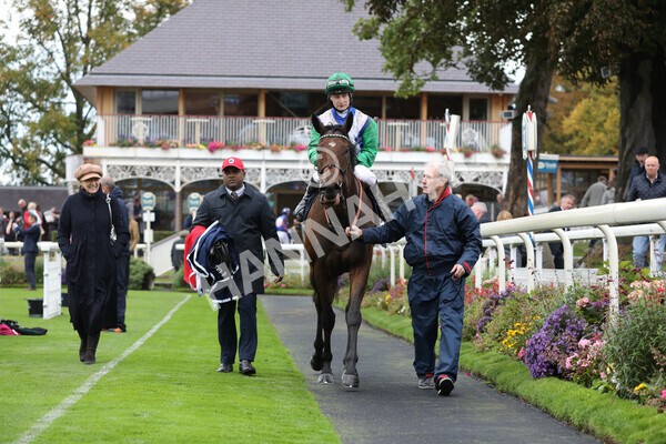 yr07102022r2-40 - Race 2 2.40pm William Hill Autumn Mile