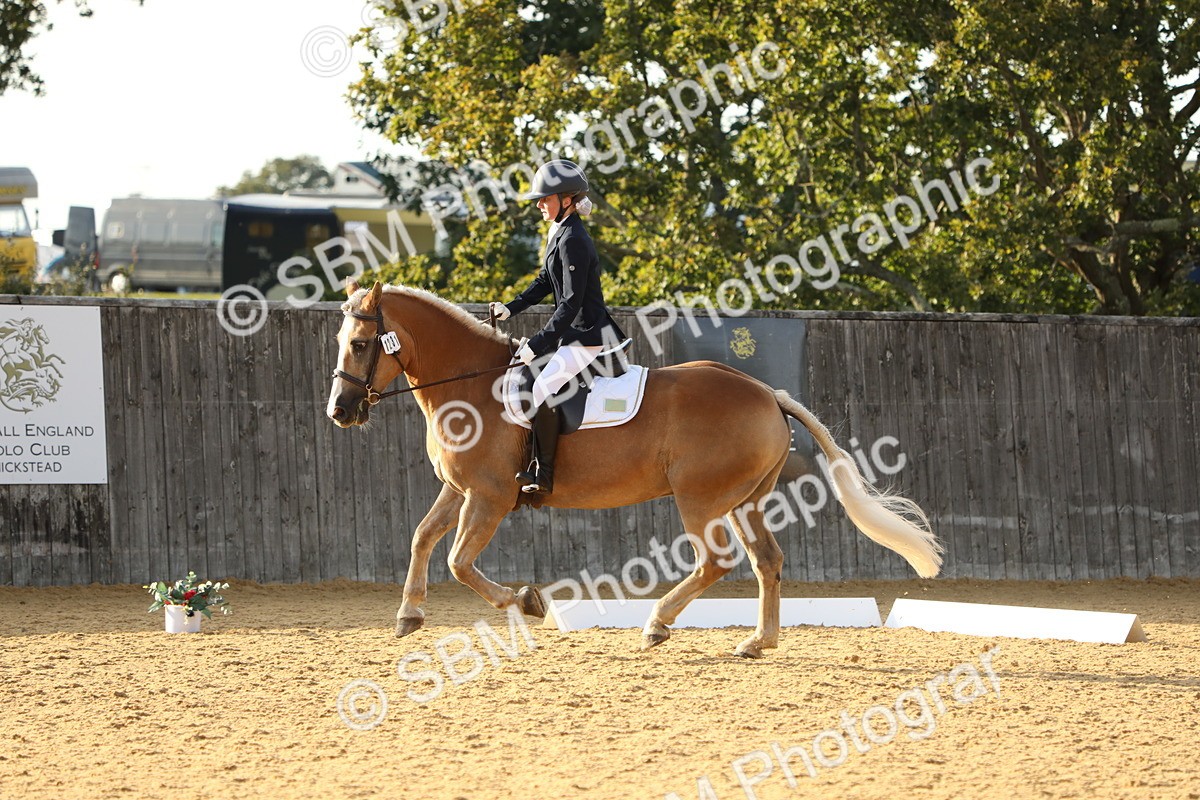SBM_53216 - D23 - Junior Championship - Prelim 12