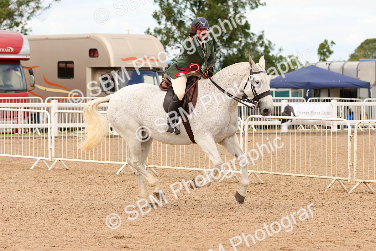 SBM_15618 - Class 214 - Ridden Show Cob