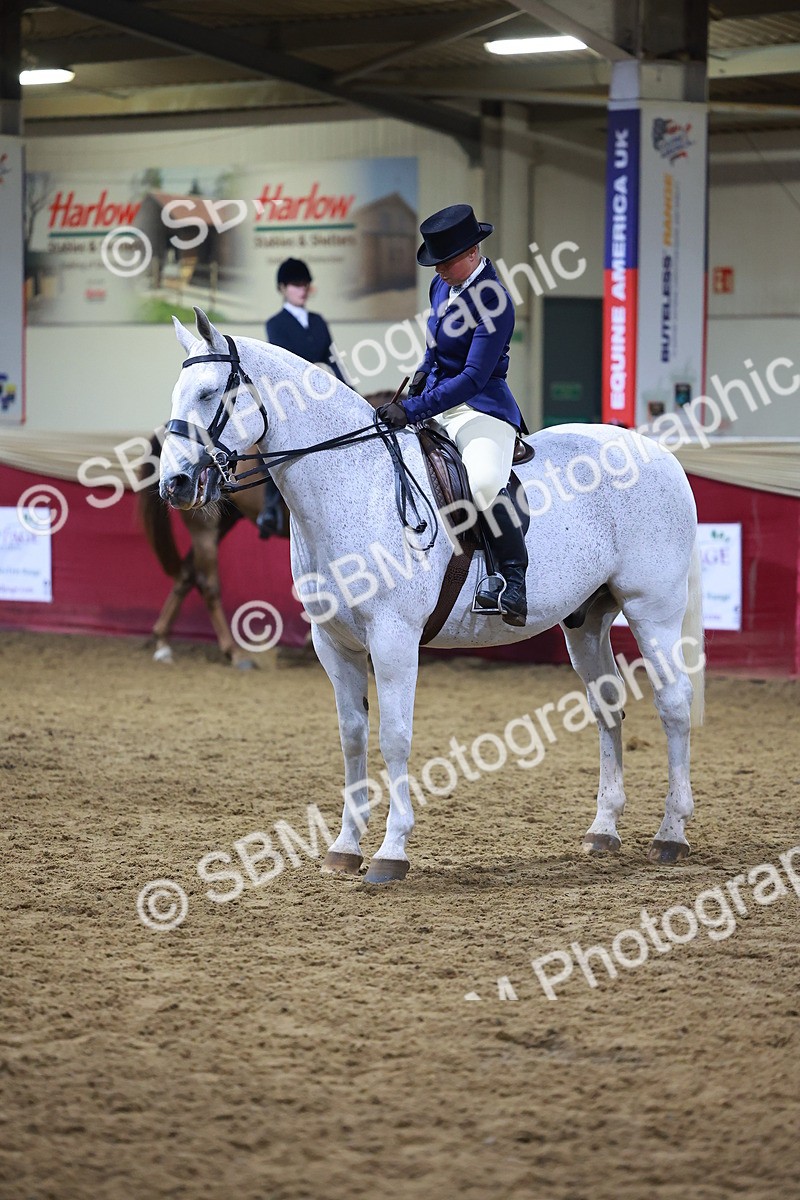 SBM_15403 - Class Q - Ridden Horse Champ