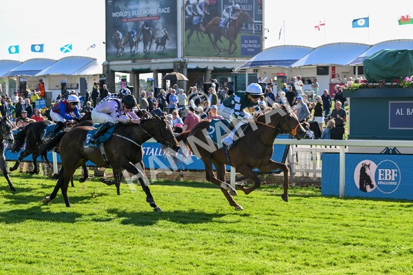 140525-Race 6-Ballistic Missile-2871 - Race 6 4.55pm British Stallion Studs EBF Novice Stakes