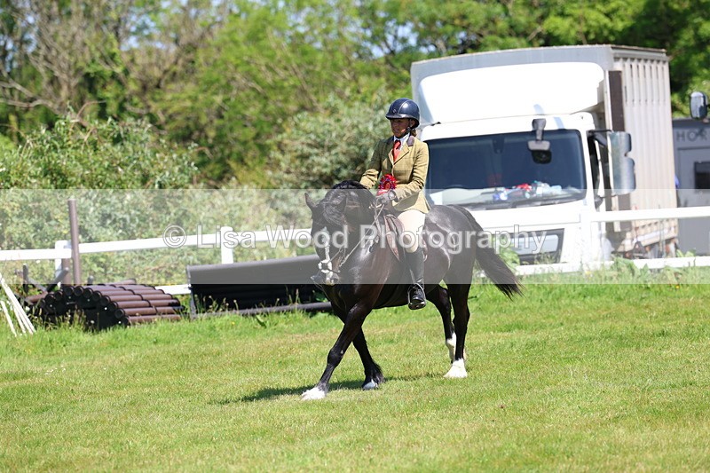 3E7A6753 - Working Hunter Pony Championship