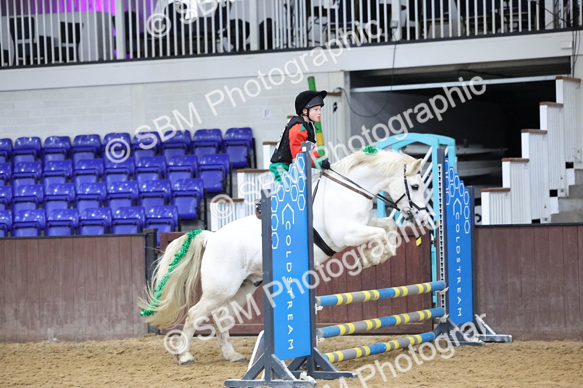 SBM_001218 - Class 3 - Christmas Tree Stakes - 60cm