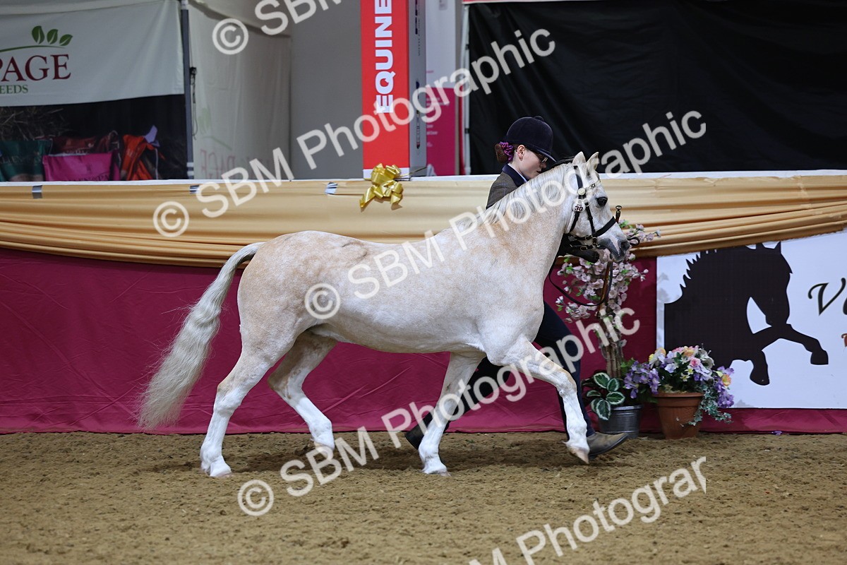 SBM_19388 - Class 901 - Supreme Final - IH Diamond