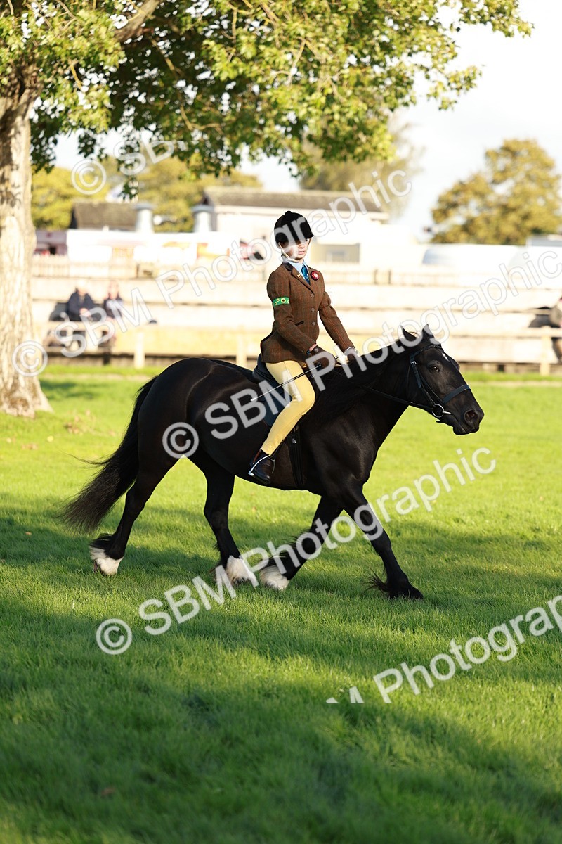 SBM_28769 - S7 - Novice & Newcomer Ridden Pony