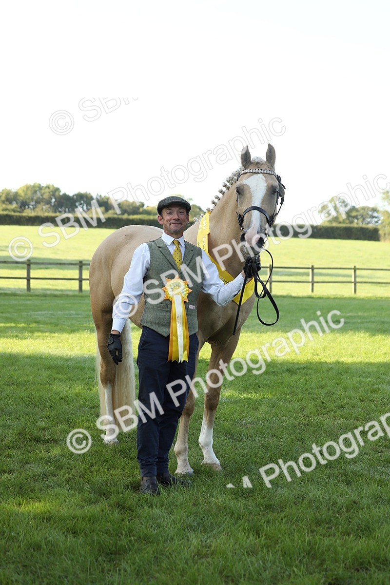 SBM_57975 - S42 - Youngstock