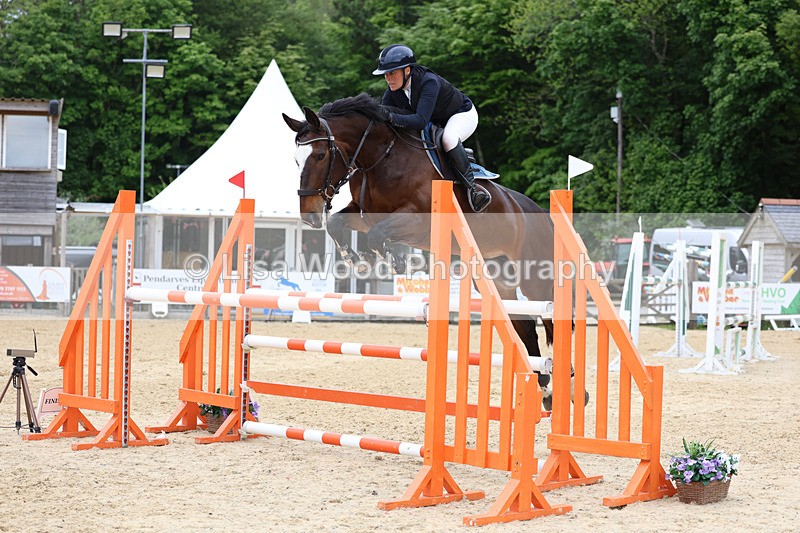 3E7A9583 - Class 9: Senior Foxhunter/1.20 open
