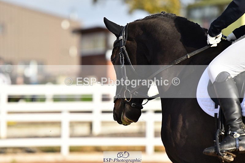 231104A-110946-01474 - Cls 5 Novice 37A