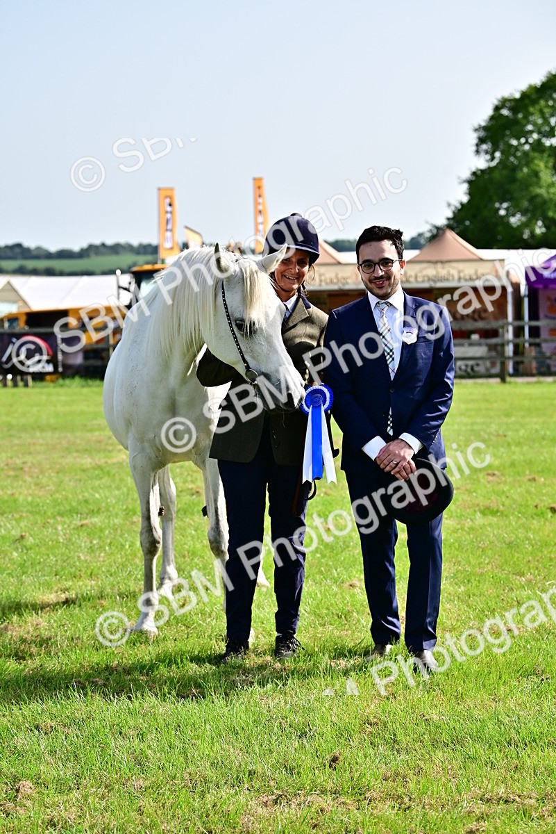 SBM_01061 - Class 46-49 - Arab and Part Bed-Anglo Arab In Hand