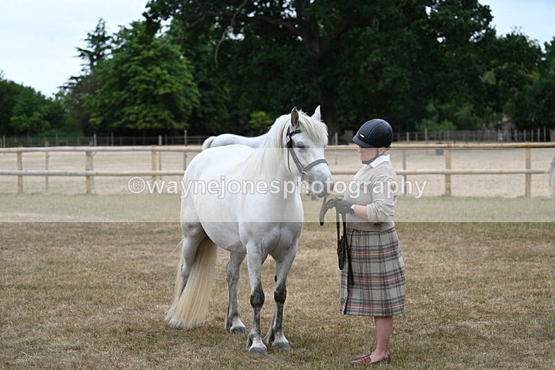 WJ7_9178 - Class 4a Prettiest Mare 14.2hh and over