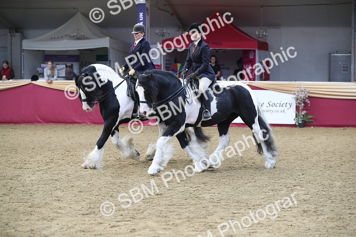 SBM_13675 - Class 109 Ridden Pairs - Section B