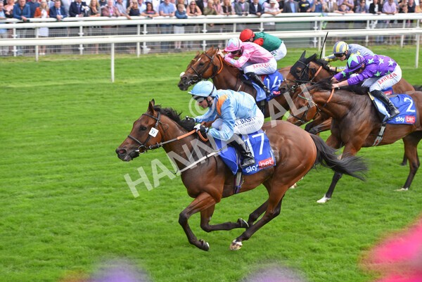 yr18082021r1-76 - Race 1 1.50pm Sky Bet & Symphony Group Stakes