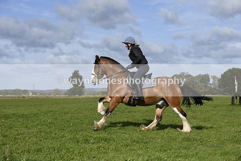 _DSC5695 - Time 10:49 to 11:23