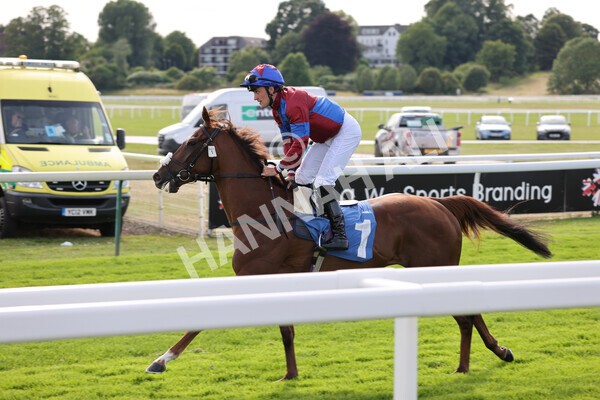 yr08072022r7-7 - Race 7 5.30pm Jigsaw Sports Branding Handicap