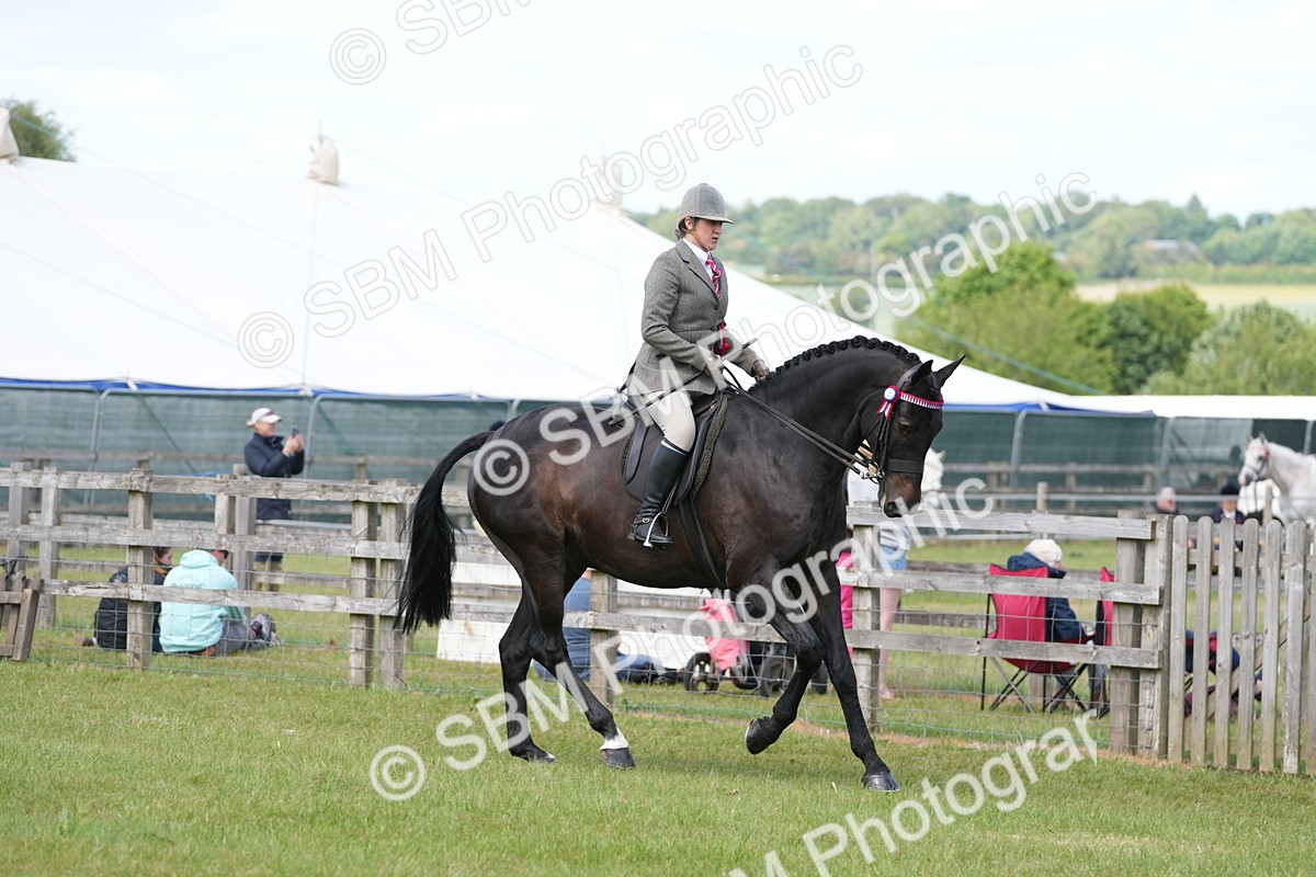 SBM_16295 - Class 105-106 - RIHS Riding Horses