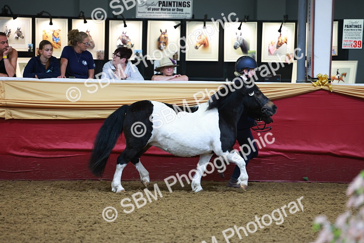 SBM_14688 - Class B - Junior Champ 11 to 16 Years