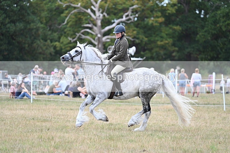 WJ7_5034 - Class 12 Ridden Cob