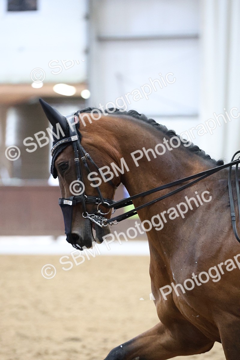 SBM_006701 - Class 22 - Medium 5 Silver