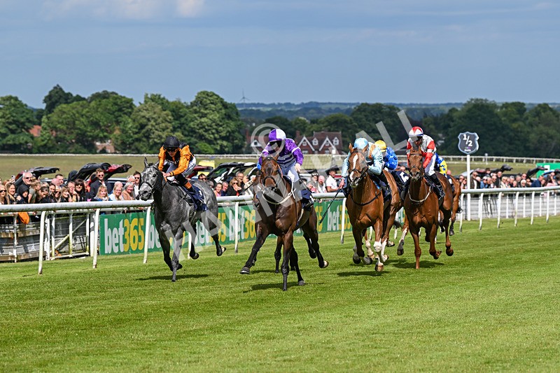 080624-Race 5-Ludos Landing-1438 - Race 5