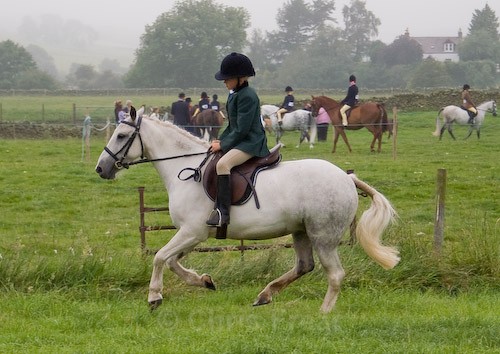 15 - Moniaive Horse Show 2008