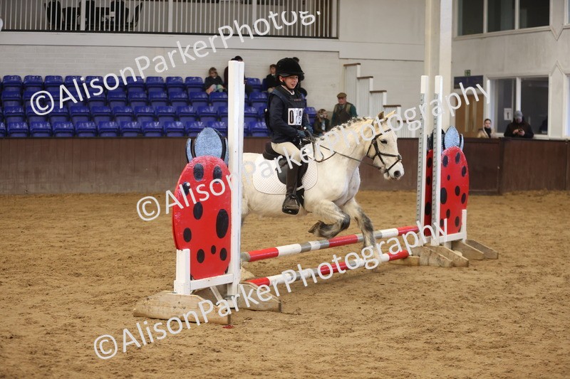 20260321-1151 - Class 3 - 50cm