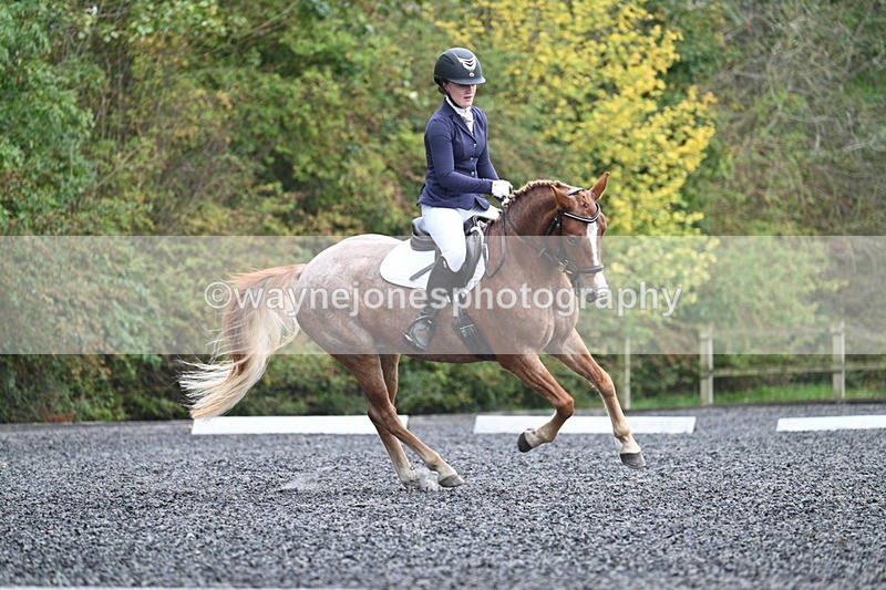 WJ7_3762 - Time 11:04 to 11:38