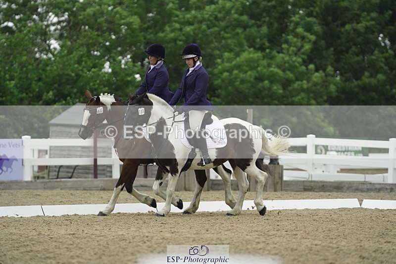 230708A-122236-00368 - BRC Pairs 5