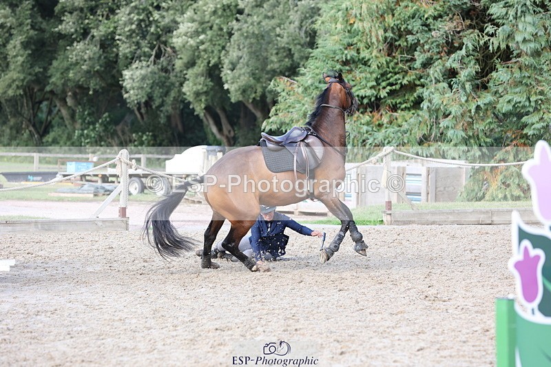 250831A-173014-11540 - Cls 46 85cm Amateur Quali