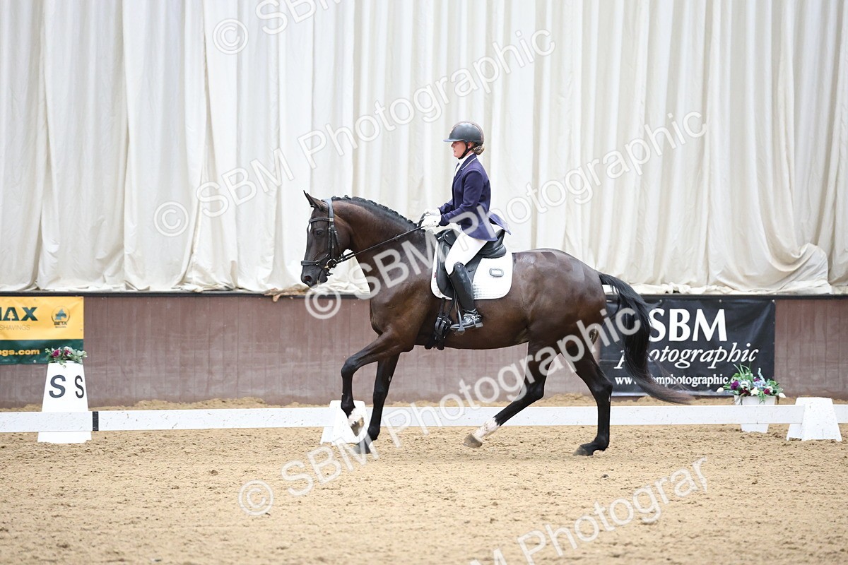 SBM_003495 - Class 5 - Novice 6 Gold - 13.05-14.00