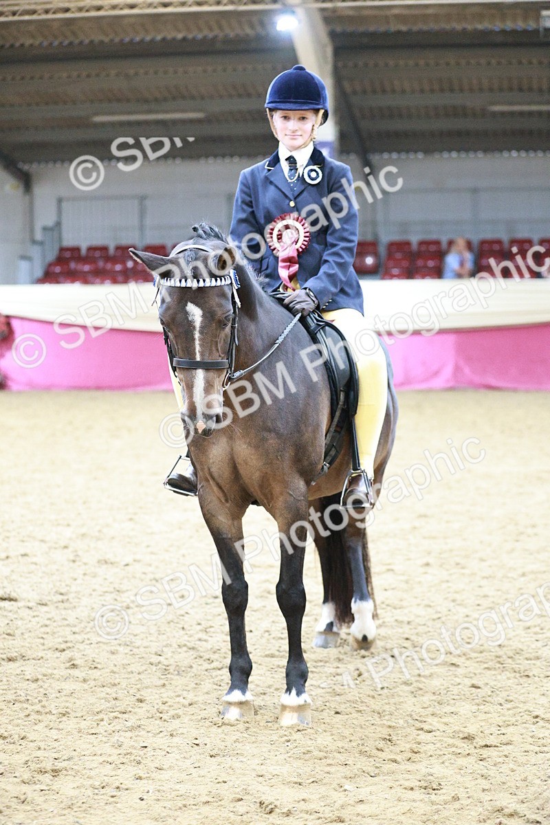 SBM_08378 - Class 11R - Regional Ridden Veteran