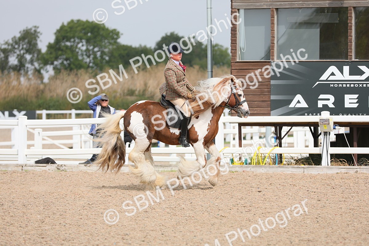 SBM_12775 - Class 307 Ridden Coloured Pony