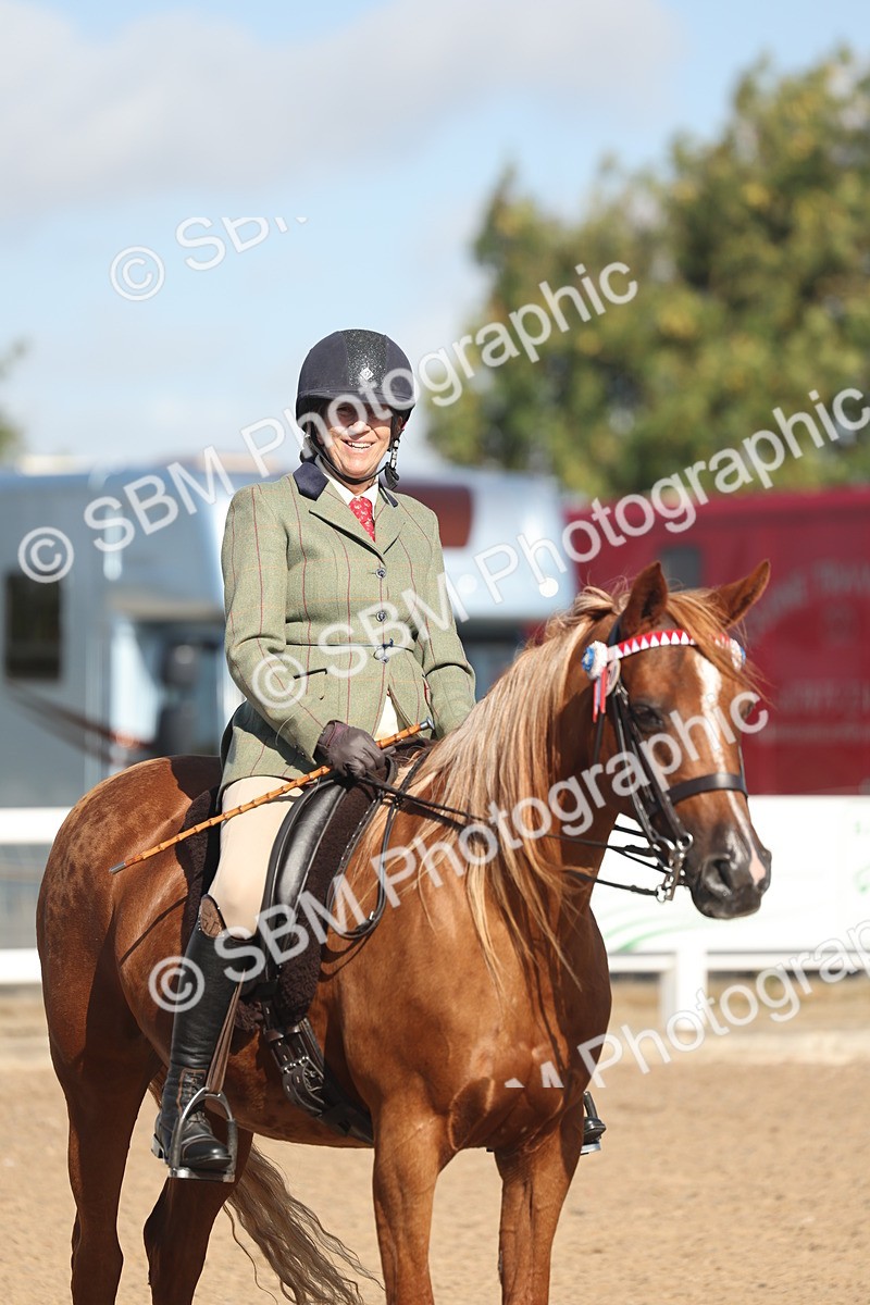 SBM_22321 - Class 803 - Ridden Combination 65+