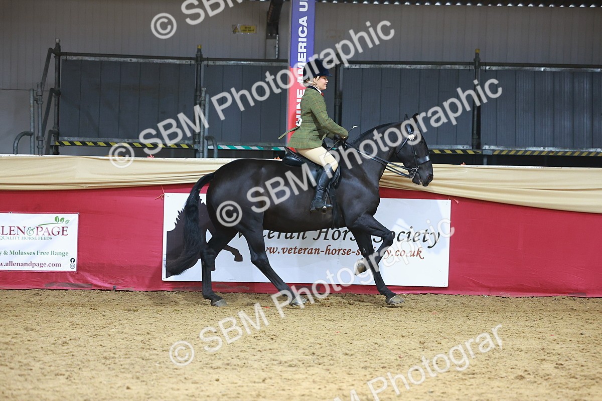 SBM_12735 - HOYS Veteran Qualifier - Ridden Champ