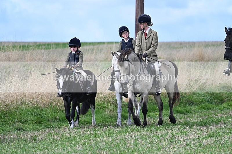 WJ7_5853 - Line One