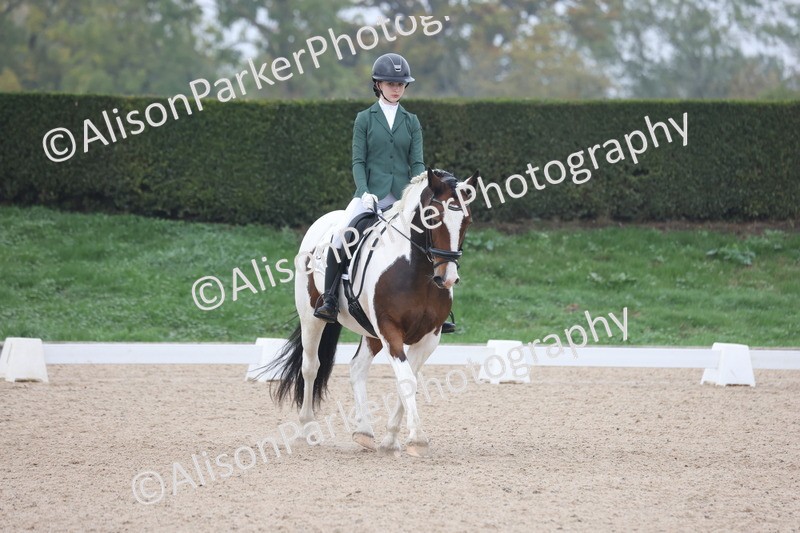 20251012-0571 - Class 5 - Elementary 5