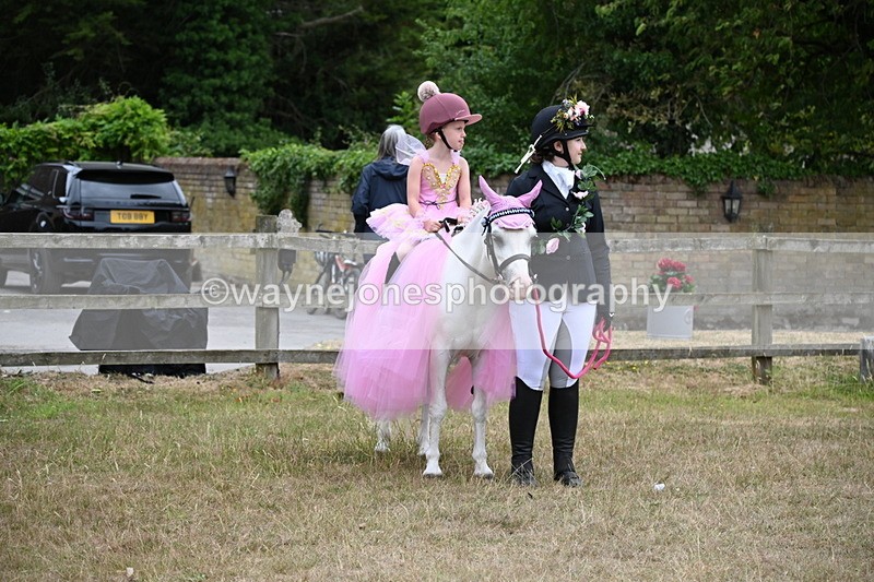 WJ6_9115 - Class 11 Fancy Dress